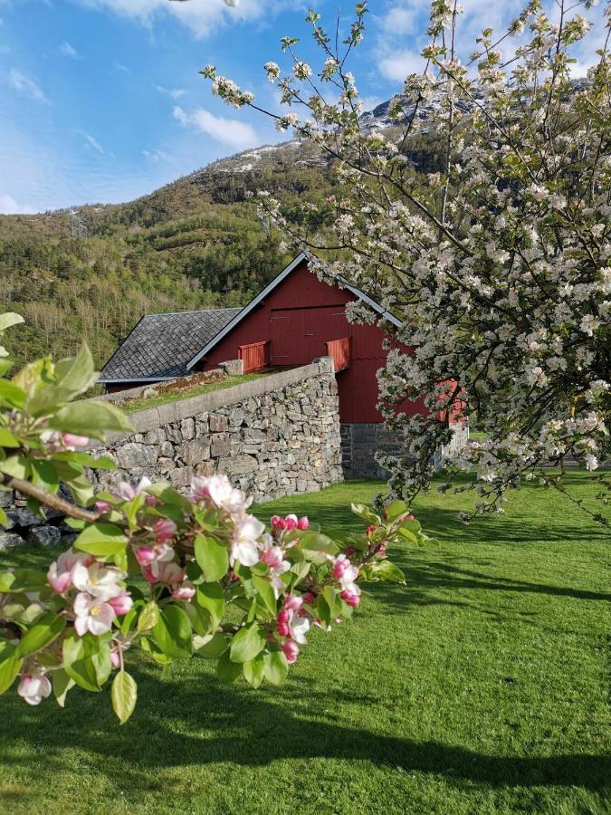 فيلا Ostigard 1810 Åndalsnes المظهر الخارجي الصورة